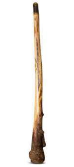 Heartland Didgeridoo (HD243)